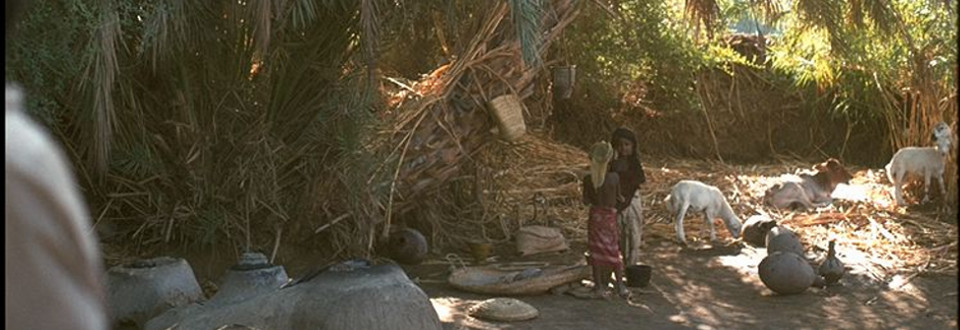 Wadi Maur, Yemen, 1975 (Mundy)