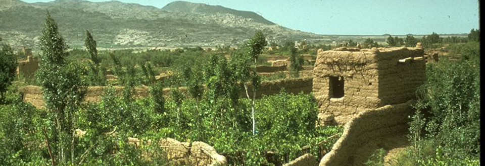 Wadi Dahr, Yemen, 1975 (Mundy)