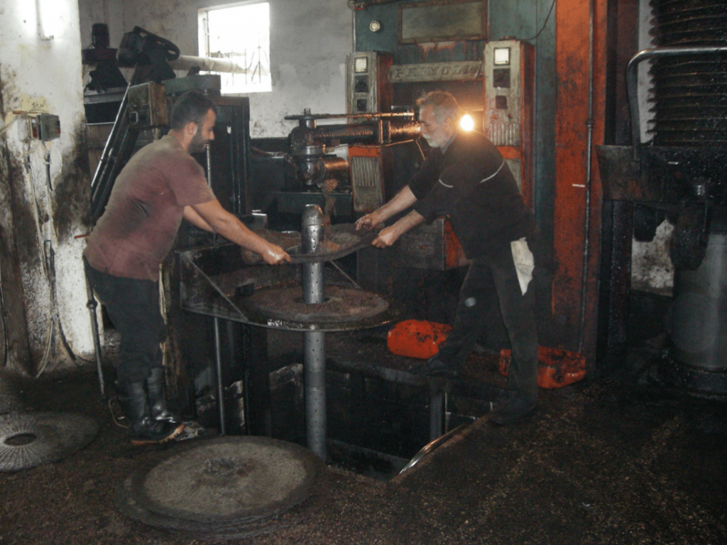 Oil mill, Rif Tartous, 2008 (Sarkis)