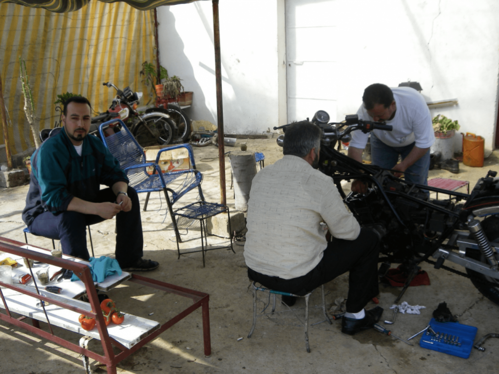 Small farmers, pluriactivity and livelihood, Rif Tartous, 2010 (Sarkis)
