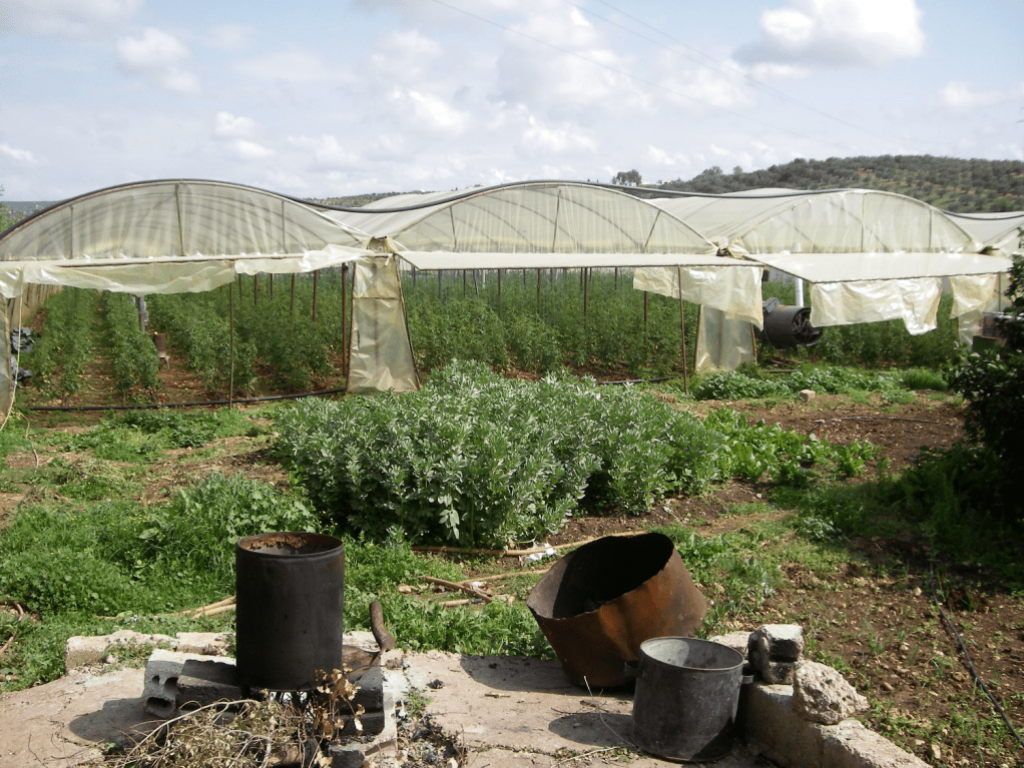 Greenhouses, Rif Tartous, 2009 (Sarkis)
