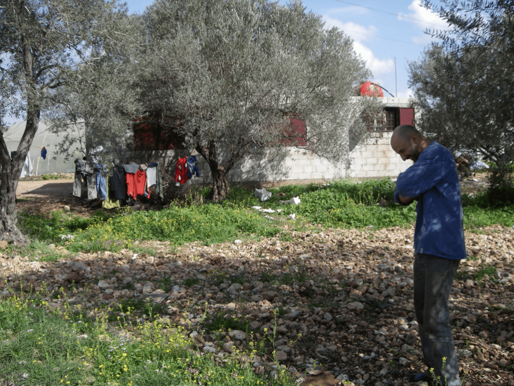 Working in greenhouses, Rif Tartous, 2009 (Sarkis)