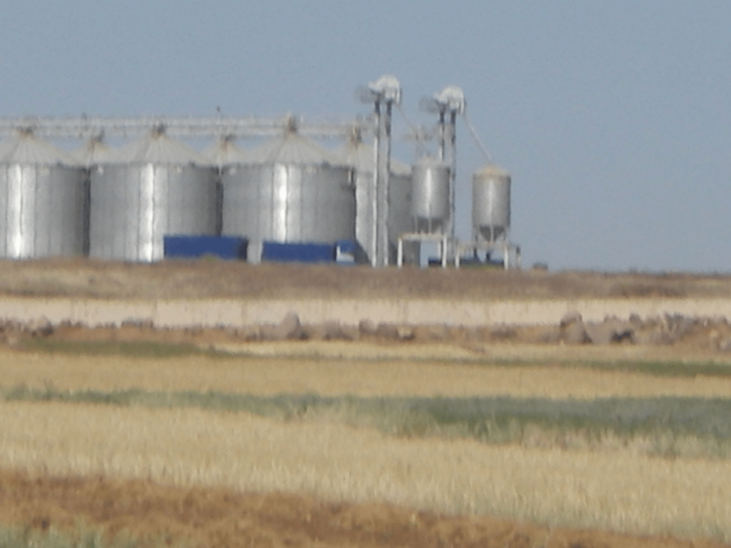 State grain storage, Rif Maarrat el-Nouman (Idlib), 2009 (Sarkis)