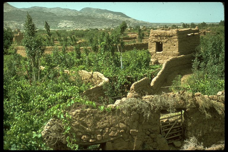 Wadi Dahr, Yemen, 1975 (Mundy)