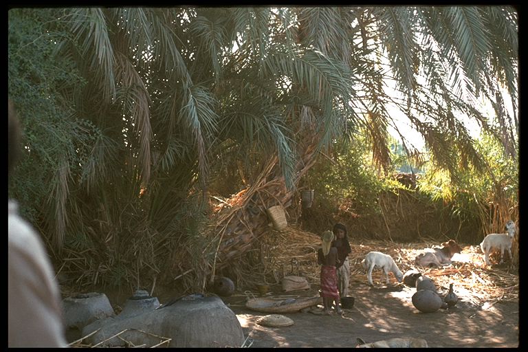 Wadi Maur, Yemen, 1975 (Mundy)
