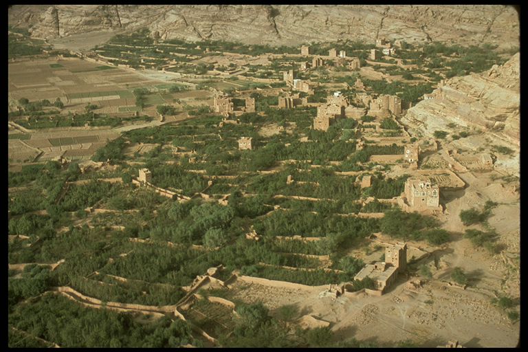  Wadi Dahr, Yemen 1974 (Mundy)
