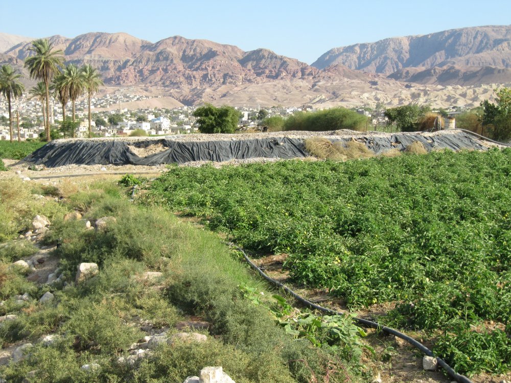 Tomato fields, water reservoir and the expanding town of Safi in the background. 