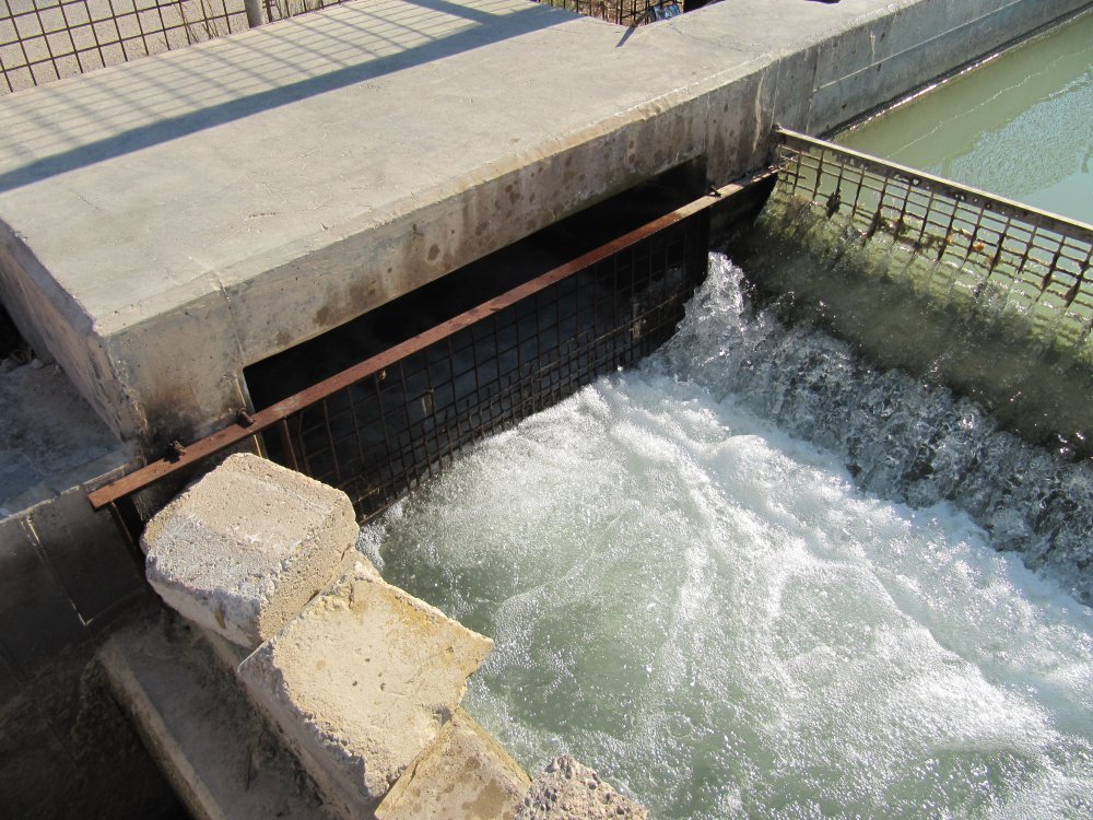 Channeling the waters of the Wadi Hasa for irrigated agriculture and industrial use by the Arab Potash Company. The Wadi Hasa has a huge water catchment, 2,520 sq km, with run-off from the Jordanian plateau to the Dead Sea at Ghor Safi. 