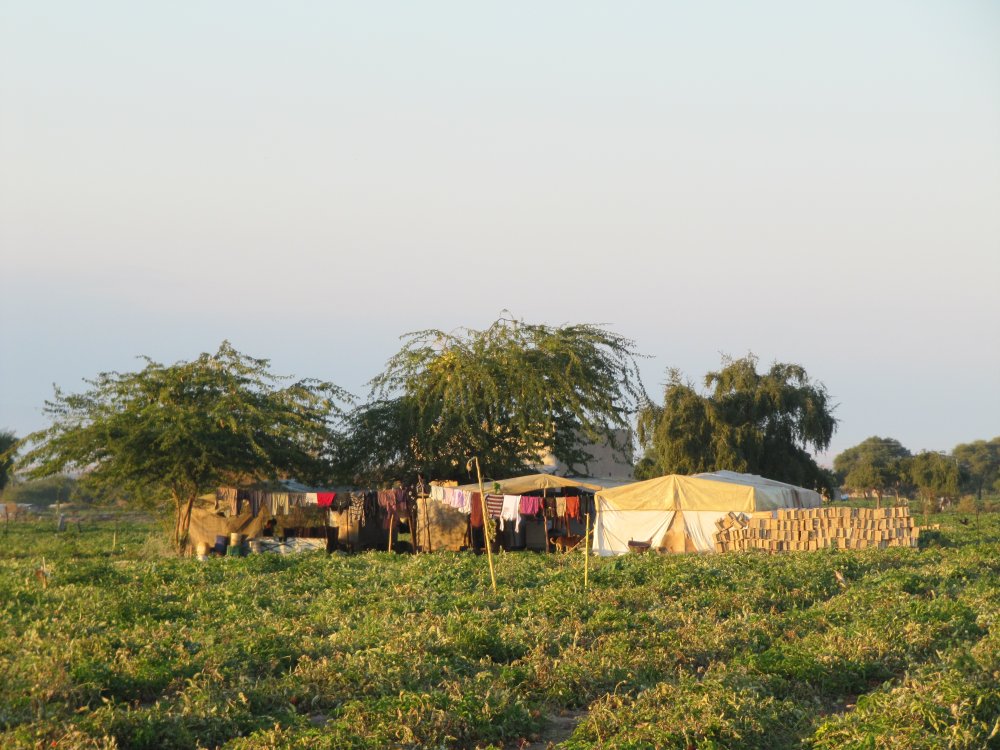  Home belonging to a family of workers who originate from Pakistan. There exists a long-standing Pakistani community in Jordan who work in agriculture and who are highly regarded as among the most skilled and best workers. Safi, Jordan.